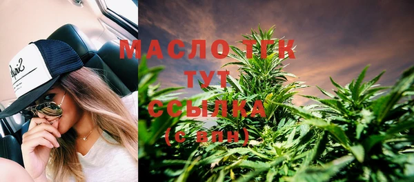 тгк Абаза