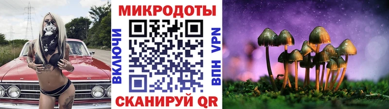 Галлюциногенные грибы ЛСД  наркошоп  Гусь-Хрустальный 